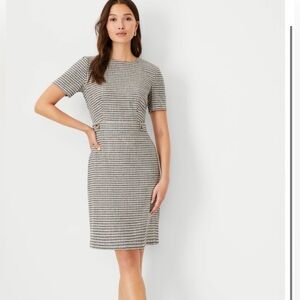 NWT - Ann Taylor - Micro Check Button Tab Shift Dress